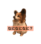 ミリアン（個別スタンプ：7）