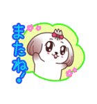 癒し系なシーズー犬（個別スタンプ：12）