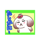 癒し系なシーズー犬（個別スタンプ：24）