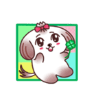 癒し系なシーズー犬（個別スタンプ：31）