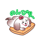 癒し系なシーズー犬（個別スタンプ：36）