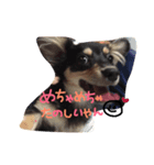 クルモナスタンプ（個別スタンプ：6）