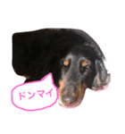 じゃむくん2（個別スタンプ：6）