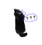 じゃむくん2（個別スタンプ：8）