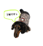 じゃむくん2（個別スタンプ：9）