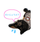 じゃむくん2（個別スタンプ：10）
