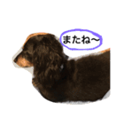 じゃむくん2（個別スタンプ：12）