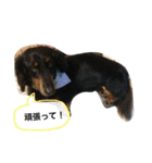 じゃむくん2（個別スタンプ：15）