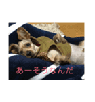 okachan39（個別スタンプ：1）