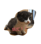 癒しのこんぶ（個別スタンプ：1）