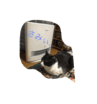 癒しのこんぶ（個別スタンプ：5）