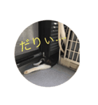 癒しのこんぶ（個別スタンプ：6）