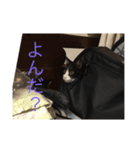 癒しのこんぶ（個別スタンプ：7）