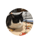 癒しのこんぶ（個別スタンプ：8）