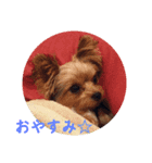Rin's stamps part2（個別スタンプ：2）