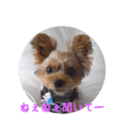 Rin's stamps part2（個別スタンプ：4）