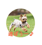 Rin's stamps part2（個別スタンプ：7）