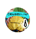 ゆずこちゃん（個別スタンプ：6）