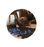 さのゆうな（個別スタンプ：16）