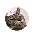 my idols（個別スタンプ：4）