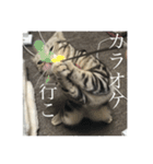 ほぼロイだよ（個別スタンプ：18）