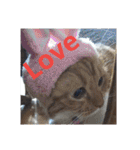 pinkkittycat（個別スタンプ：16）