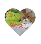 pinkkittycat（個別スタンプ：24）
