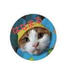 pinkkittycat（個別スタンプ：35）