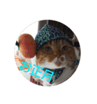 pinkkittycat（個別スタンプ：39）
