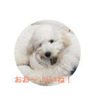 vanilla 3（個別スタンプ：1）