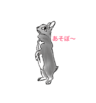 イグモモ（個別スタンプ：3）