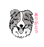 イグモモ（個別スタンプ：31）