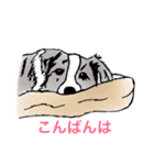 イグモモ（個別スタンプ：35）