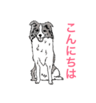 イグモモ（個別スタンプ：36）