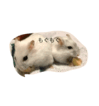 はむさんず（個別スタンプ：1）