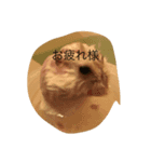 はむさんず（個別スタンプ：4）