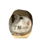 はむさんず（個別スタンプ：7）