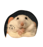 はむさんず（個別スタンプ：8）