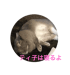 ティ子の生活（個別スタンプ：1）
