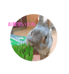 ティ子の生活（個別スタンプ：3）