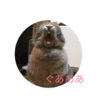 ティ子の生活（個別スタンプ：4）