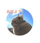 ティ子の生活（個別スタンプ：7）