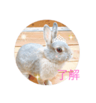 ティ子の生活（個別スタンプ：8）