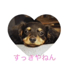 バーニィの呟き（個別スタンプ：4）