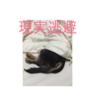 バーニィの呟き（個別スタンプ：7）
