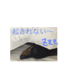バーニィの呟き（個別スタンプ：9）