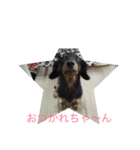 バーニィの呟き（個別スタンプ：12）