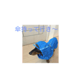 バーニィの呟き（個別スタンプ：14）