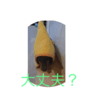 バーニィの呟き（個別スタンプ：16）
