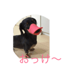 バーニィの呟き（個別スタンプ：19）